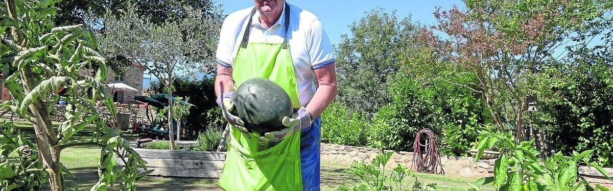 球探体育比分网-托沙克：希望阿隆索输皇社；不满出场时间找教练抗议不是坏事